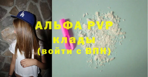 ГАЛЛЮЦИНОГЕННЫЕ ГРИБЫ Иннополис
