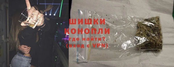 ГАЛЛЮЦИНОГЕННЫЕ ГРИБЫ Иннополис