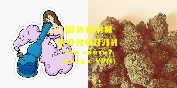 тгк Инта
