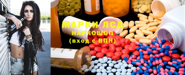тгк Инта
