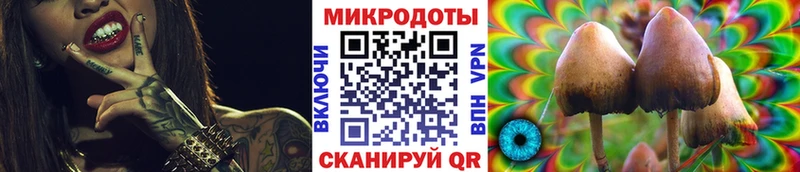 дарнет шоп  kraken онион  Галлюциногенные грибы Cubensis  Жуковский 