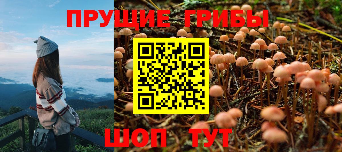 где продают   Псилоцибиновые грибы MAGIC MUSHROOMS  Вход с VPN  Жуковский 