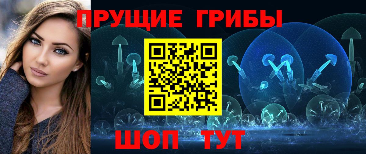 Псилоцибиновые грибы Psilocybine cubensis  Жуковский 